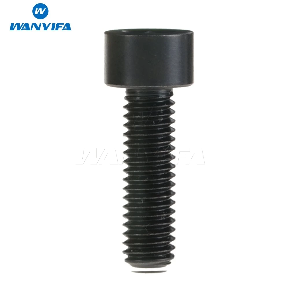 Wanyifa M6x 18 20mm Titanium Ti DIN912 Bolt Hexagon Head Allen Key Screws Bicycle Disc Break Calipe pack of 4