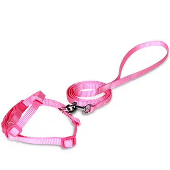 8 best sales Gürtel für Katze - №4