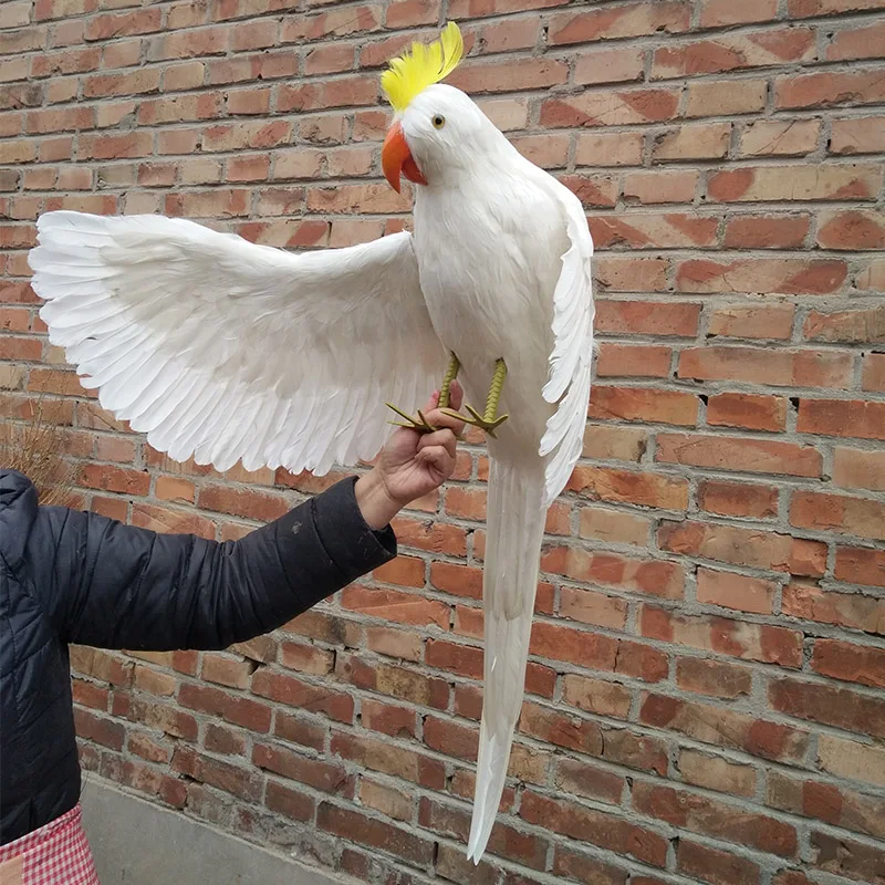 large 80cm white feathers parrot cockatoo bird  hello