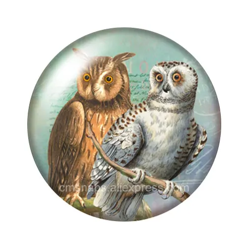 Cabochon en verre avec photo ronde, 10 pièces mélangées, hibou Hope oiseaux, nouveau Style Vintage, 12mm/16mm/18mm/25mm, démo de fabrication à dos plat