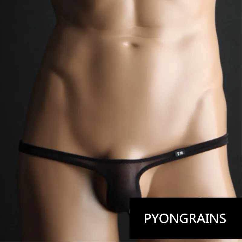 2018 Bikini Nylon Low Rise Gay Mens Thongs and G Strings Sexy Men Underwear Penis Pouch Mens Briefs Jockstrap Men Cueca Gay