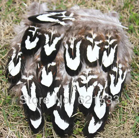 

100Pcs/Lot 5-8CM White&Black Reeves Pheasant Body Feathers Crafts Jewelry Fly Tying ,Reeves Pheasant Plumage feathers