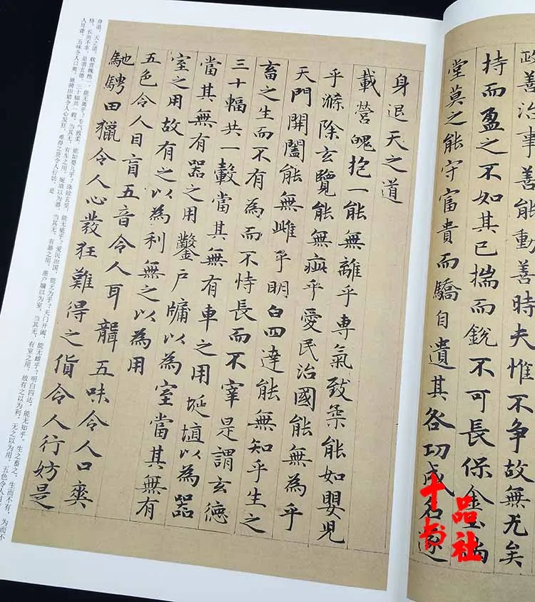 Quaderno di calligrafia cinese con iscrizione in pietra, sfregamento, libro di scrittura a pennello 85 pagine 23 * 33,50 cm