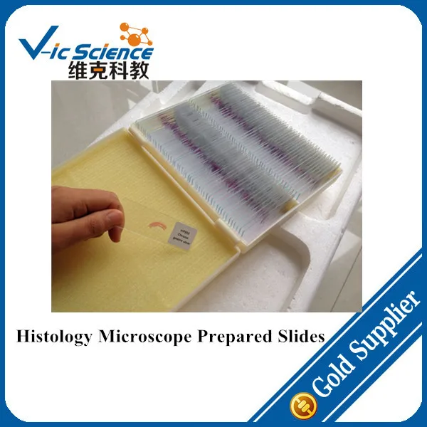 

181pcs Histology Microscope Prepared Slides Set