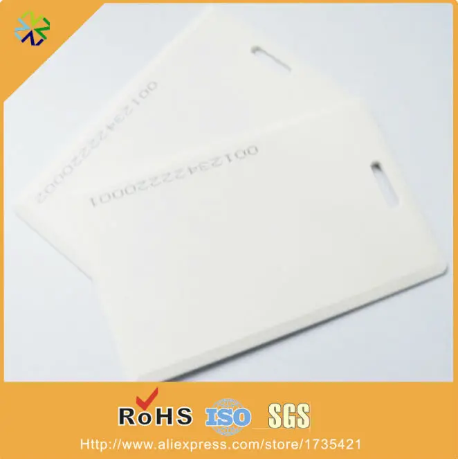 500pcs/lot both side printing with hole punched plastic tags