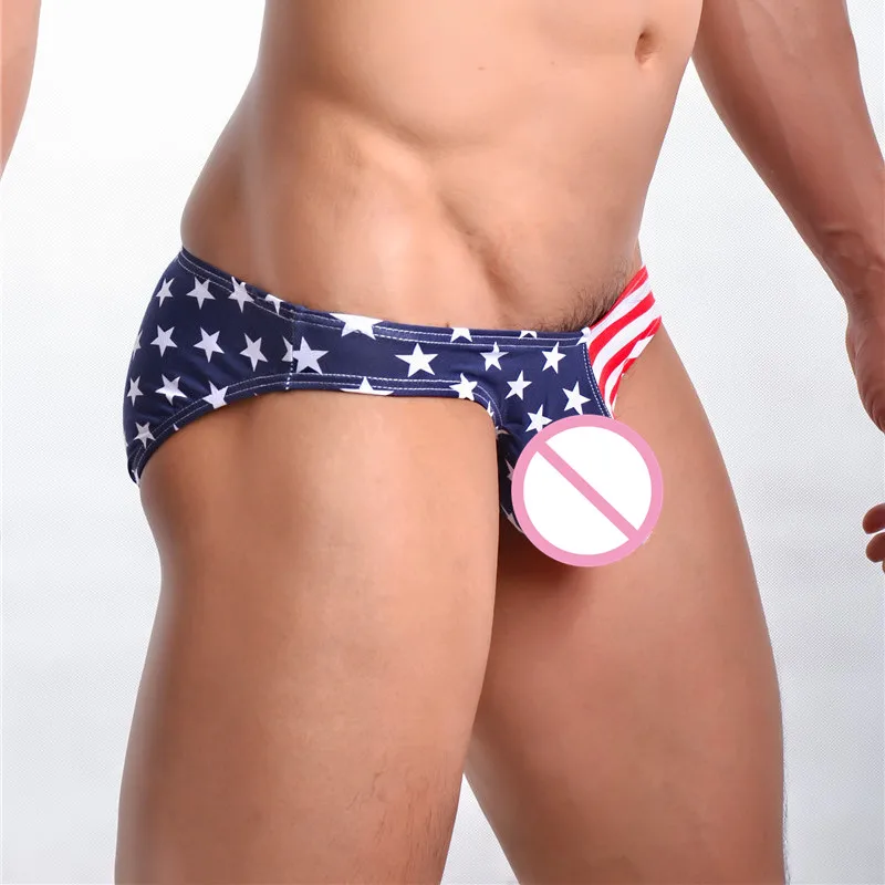 Sexy Gay Underwear Men Briefs Shorts USA Flag Printed Cotton Pouch Low-waist Briefs Male Underpants calzoncillos Briefs