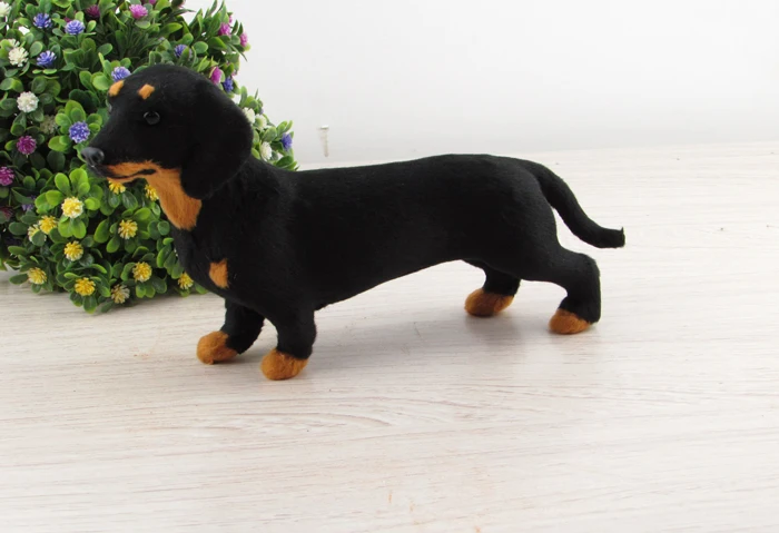 

new simulation dog toy lifelike Black dachshund home decoration about 21x5x12cm