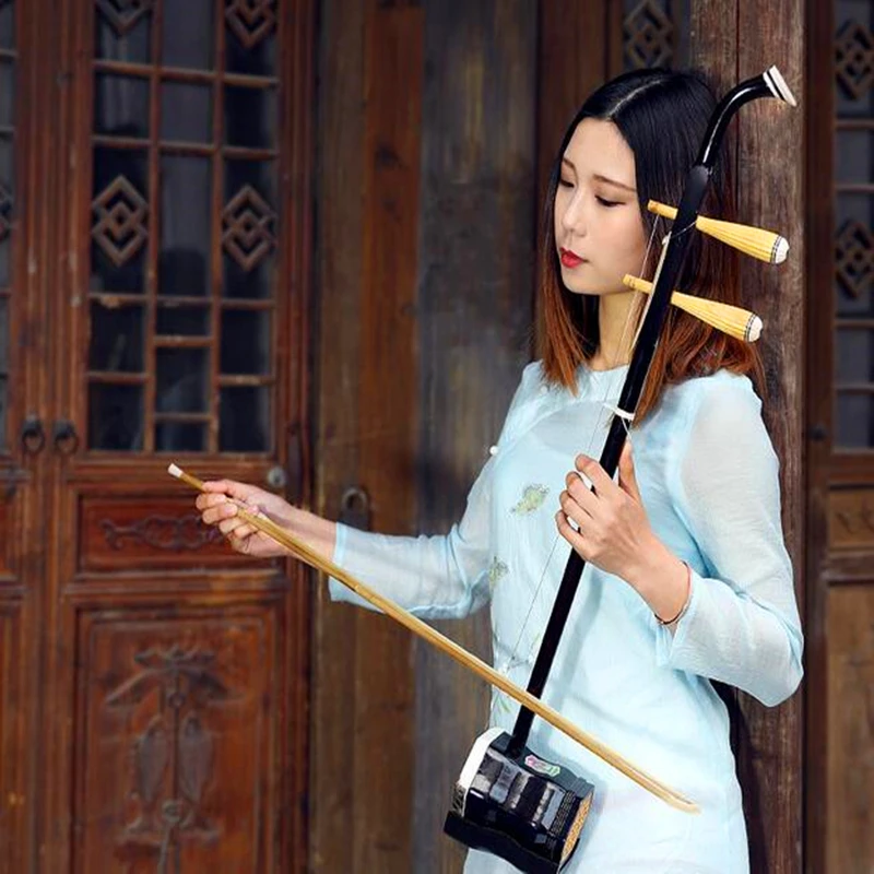 Chinese String Instrument Erhu Huqin Exclusive Engraved Code Chinese Instruments Folk Erhu with Rosin Spare Strings Bow and Book