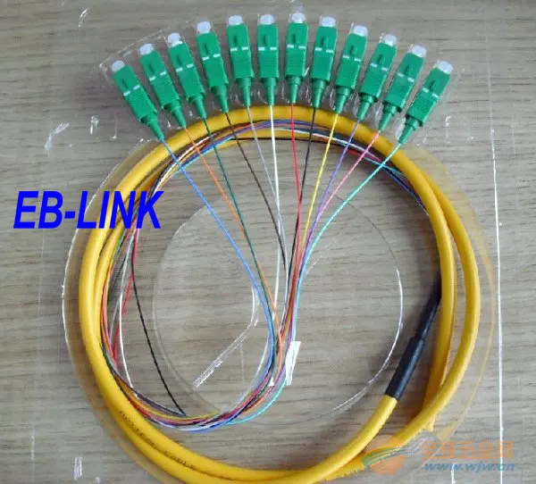 EB-LINK 1.5 Meters SC/APC 12 fiber cores 0.9mm breakout fiber pigtail Optic Pactch Cord