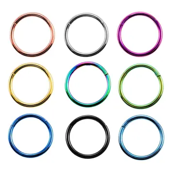1 Adet G23 Titanyum Menteşeli Segment Burun Halkası 16g ve 14g Meme Ucu Tıkırtısı Kulak Kıkırdağı Tragus Helix Dudak Piercingi Unisex Moda Takı 10 best sales Ahtapot piercingi - №10
