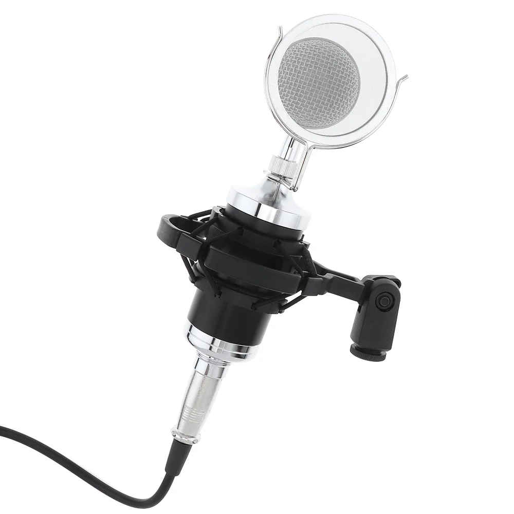 Profession CY-F2000 Condenser Sound Recording Microphone With Shock Mount For Radio Braodcast / Singing Recording / KTV