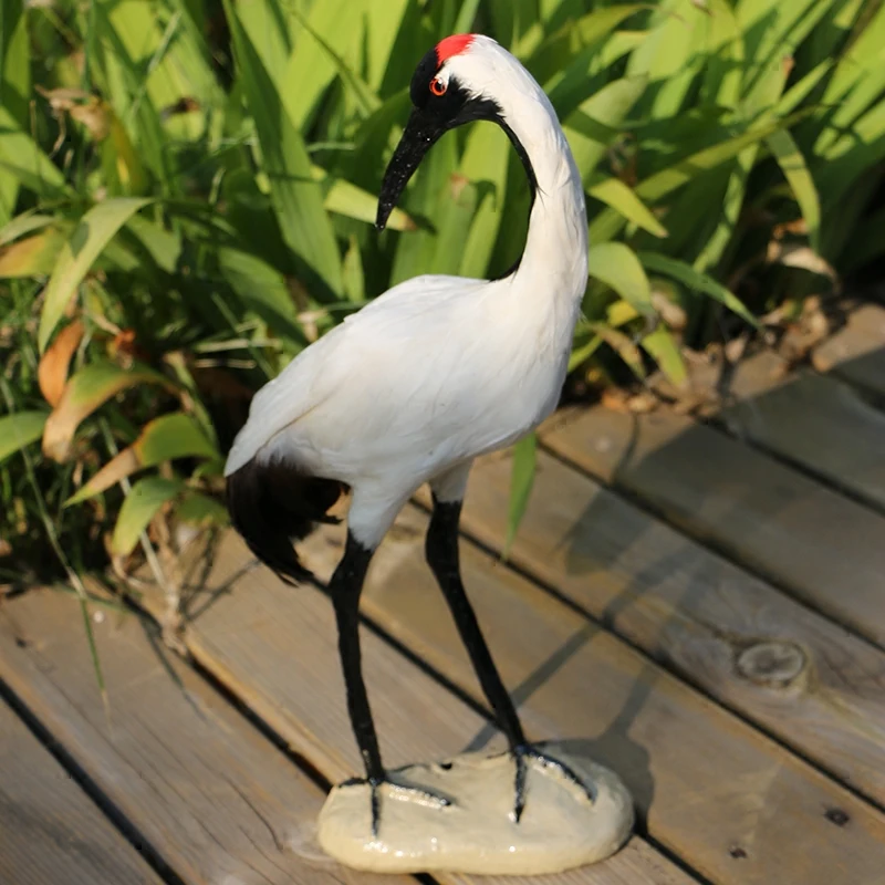 artificial Red-crowned Crane model polyethylene&furs large 38x10x15cm handicraft home garden decoration gift a2128