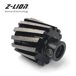 Z-LEAP 2 