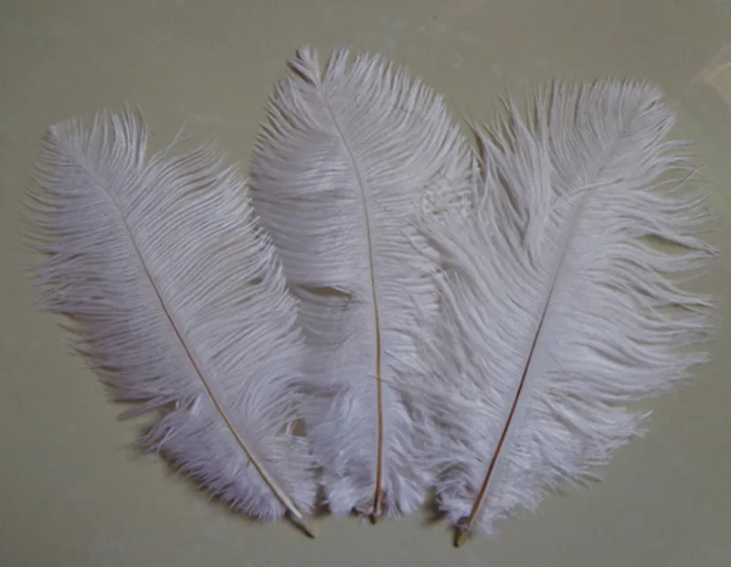 

Оптовая продажа, 200 шт./лот, 6-8 дюймов, высококачественные натуральные страусиные перья белого цвета, 15-20 см, украшения для свадебвечерние