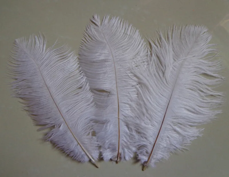 Wholesale! 200pcs/lot 6-8 inches White Color High Quality Natural Ostrich Feathers 15-20cm Wedding Party Decorations