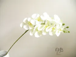 [Promotion] raw silk feel cheap Phalaenopsis ultra-realistic feel super good fake flowers Phalaenopsis