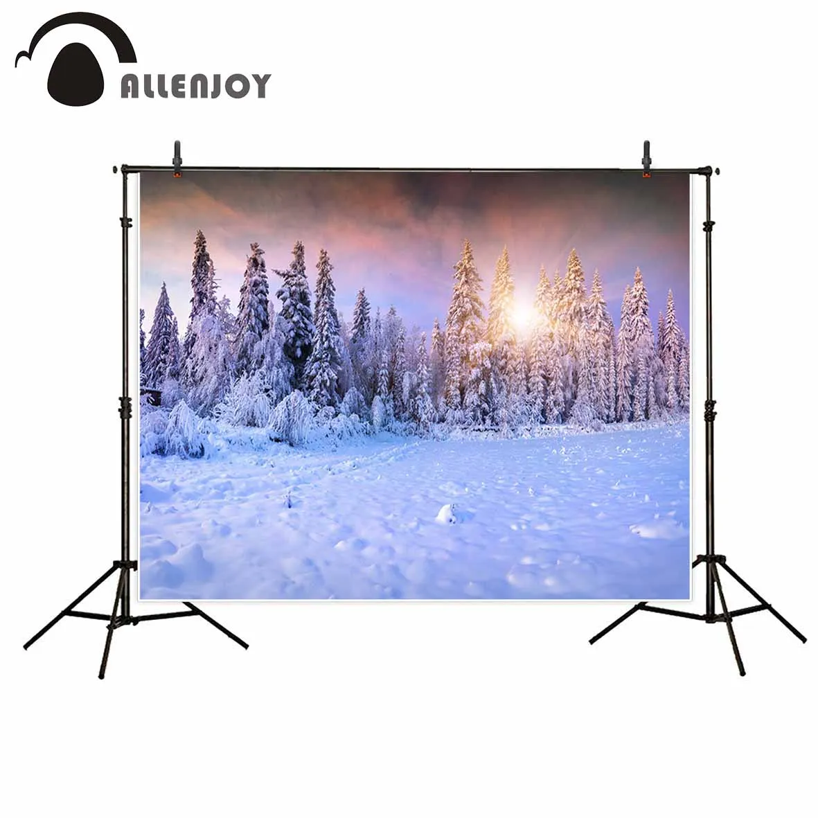 Allenjoy newborn photography background Winter snow forest sun beautiful dream photo studio photobooth high quality not blurry