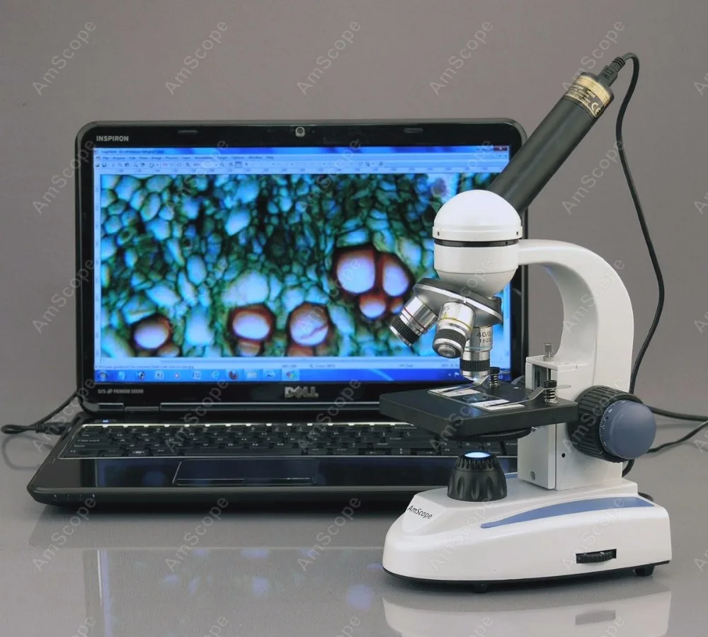 AmScope-مجهر مركب لاسلكي ، إطار معدني LED من النوع C و F ، مزود بأضواء علوية وسفلية ، 40X-1000X