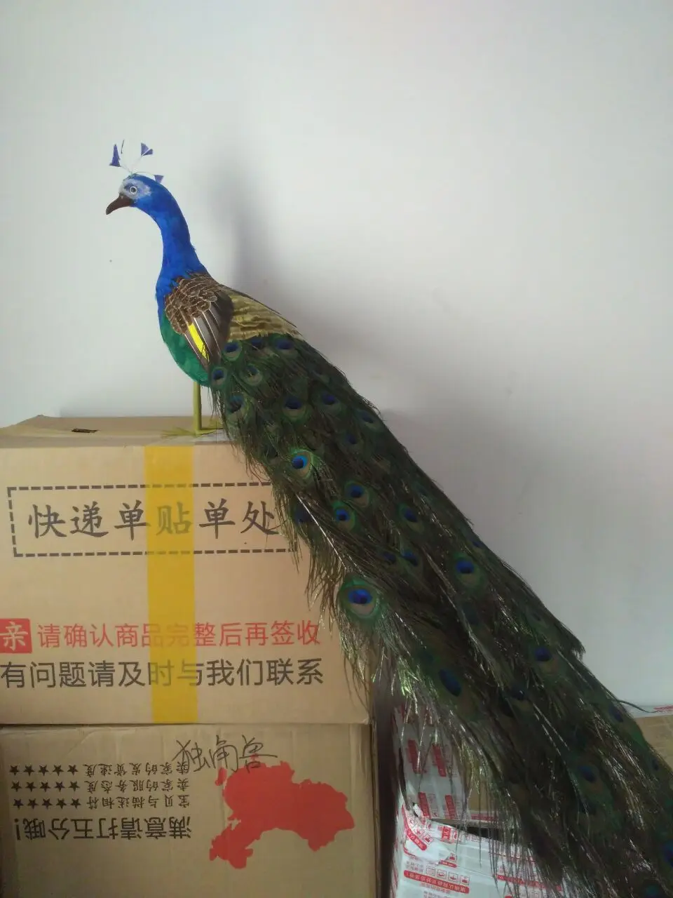 beautiful simulation peacock model foam&feather big peacock doll about 100cm