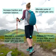 Folding Hiking and Walking Poles #2