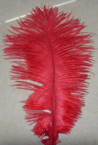 Free Shipping 50pcs/Lot red Ostrich Feathers  high Quantity 14-16inch/35-40cm wedding decorations table centerpiece decoratives