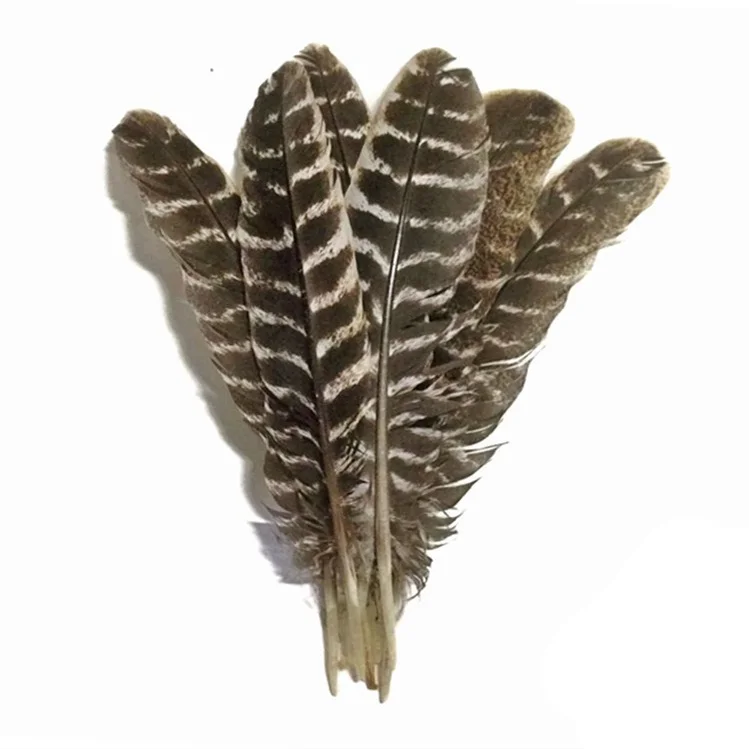 Lot De 20 Plumes D'autruche Naturelles Pour Décoration De Mariage Rouge 20 25 Cm~p146458603