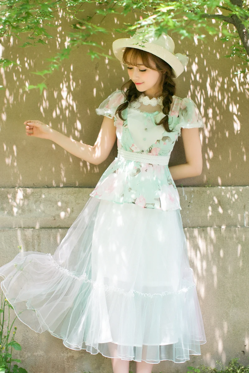 

Princess sweet lolita Candy Rain long sleeved floral dress Chiffon dress C22AB7100