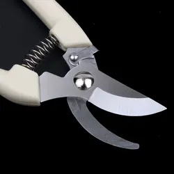 Garden Pruning Grafting Tool Tree Cutter Gardening Pruning Shear Scissor Stainless Steel Cutting Home Tools