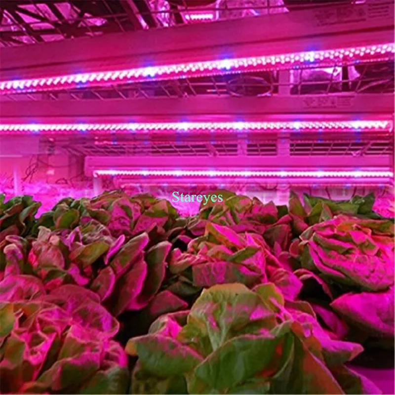 SMD 5050 60LED/m 5m LED Strip Grow light Full Spectrum Flower Plant Phyto Growth lamp For Greenhouse Hydroponic Plant Growing