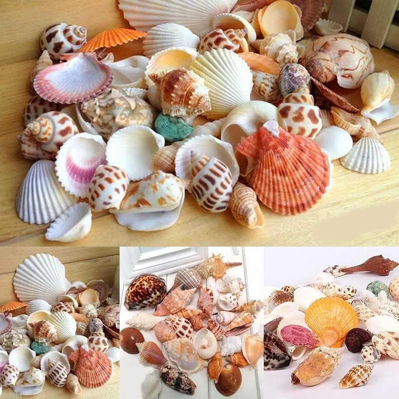 100g New Mixed Beach Nautical Shells Aquarium Fish Tank  Decoration Bulk Seashell