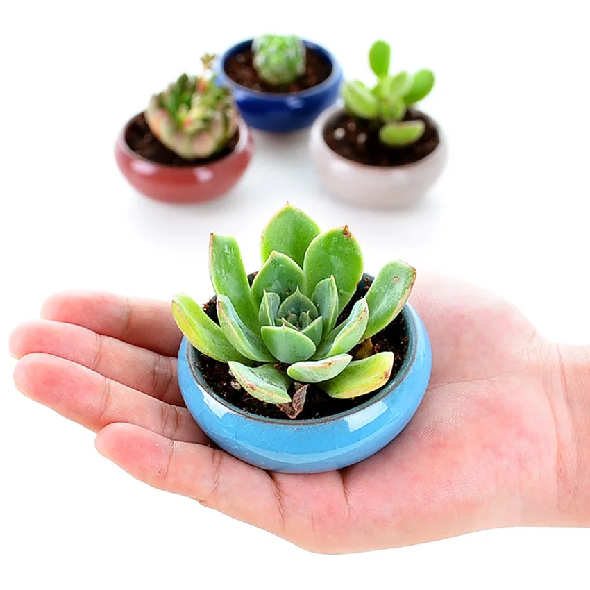 Ice-Crack Ceramic Flower Pots For Juicy Plants Small Bonsai Pot Home and Garden Decor Mini Succulent Plant Pots