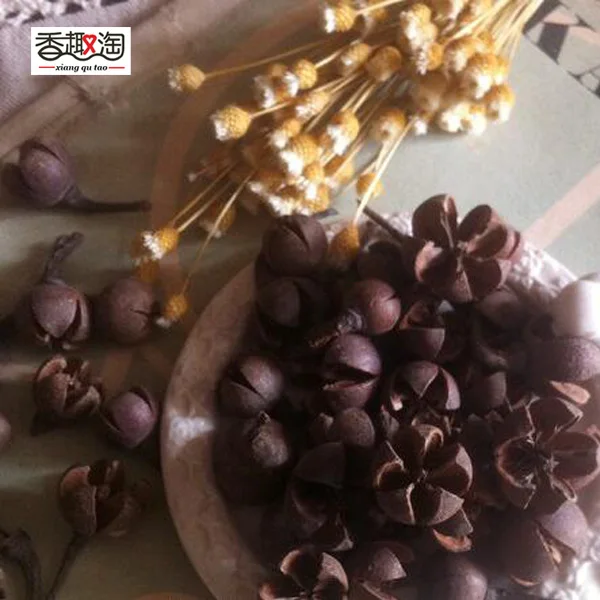 10pcs Dried Cross Plant Fruits Flower For Home Decoration Holiday Candy Boxes Bag Venue Decoration Craft DIY Accessory