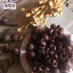 10pcs Dried Cross Plant Fruits Flower For Home Decoration Holiday Candy Boxes Bag Venue Decoration Craft DIY Accessory