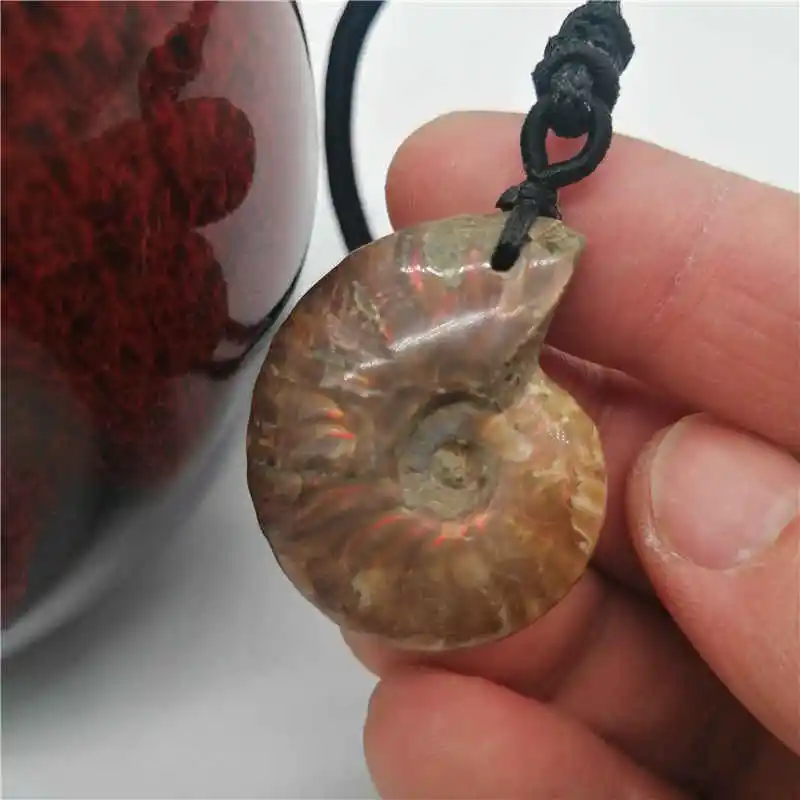 Wholesale 1PC Natural conch pendant snail leaf  ammonite hanging piece lucky crystal stone screw transporter