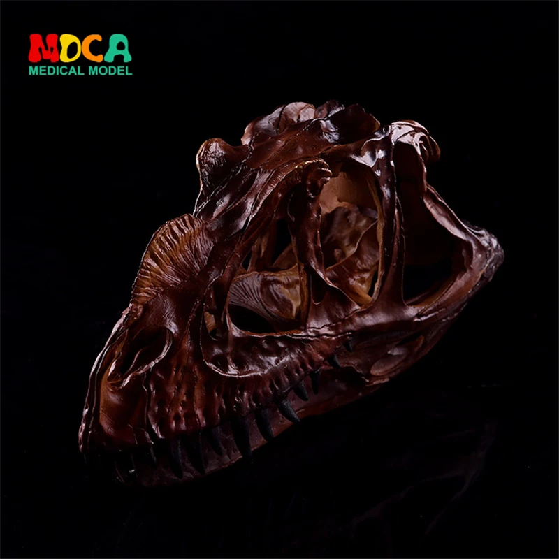 Dinosaur skull resin skull brown horns personality home furnishings personal decoration family decoration KLGT018