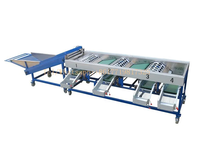 

Автоматическая сортировочная машина для картофеля и чеснока по размеру, сортировщик чеснока, сортировочная машина для лука
