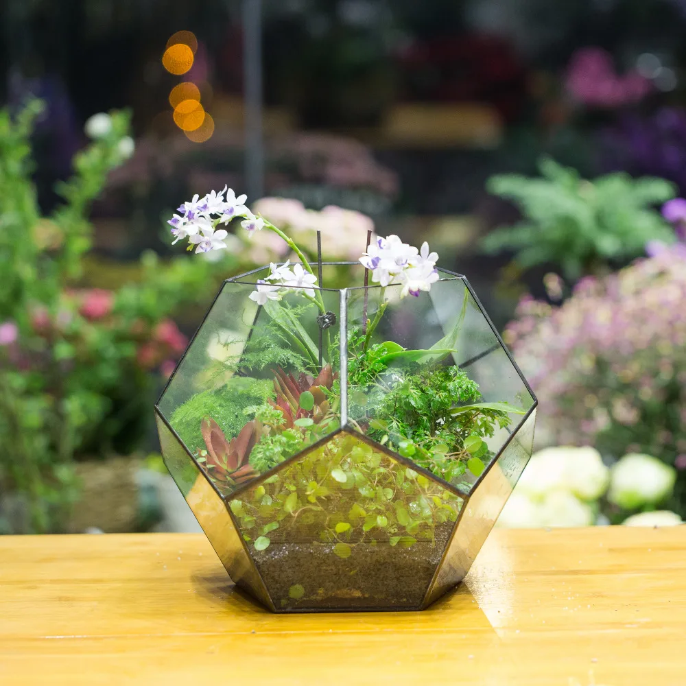 Handmade Bonsai Polyhedron Glass Geometric Terrarium Box Tabletop Succulents Fern Moss Plants Box Planter Extra Large Flower Pot