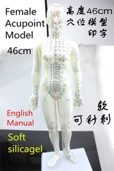 HD Soft silicagel Acupuncture Model 46cm female with Base Human acupuncture meridians model Acupoint Model Acupuncture massage