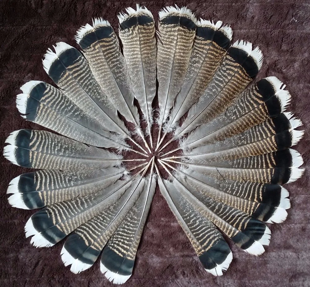 white Turkey feathers wholesale discount 10-1000PCS / pieces 25-30CM DIY decoration Indian headdress arrow feathers