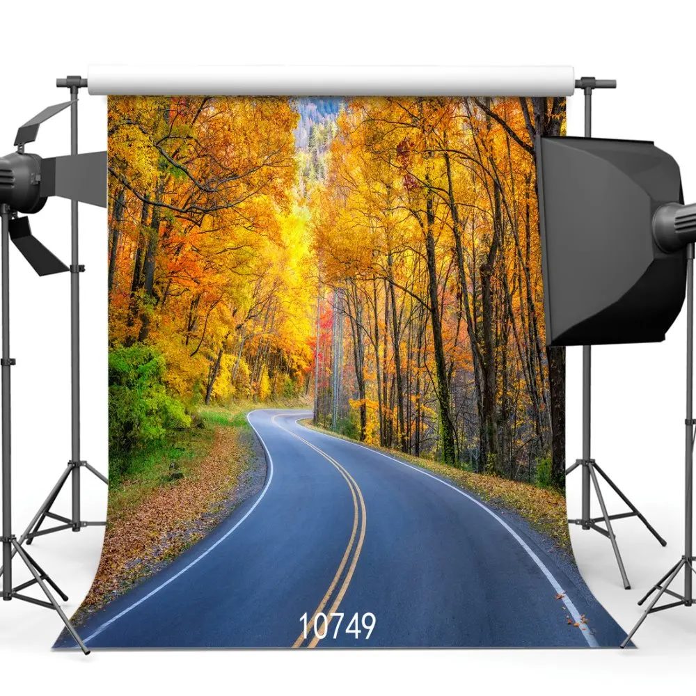 Vinyl 3D Photographic Backdrop Highway Acrossing Autumn Forest Professional Portrait Photoshoot Backdrops For Photo Studio