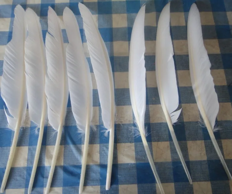 

White Feathers! 50Pcs/Lot 25-30cm White Goose Quill Feathers Wedding/Cosplay/Indian Headdress Feathers Left/Right Side