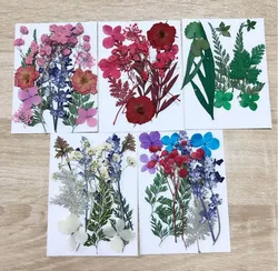 1 Set Mixed Dried Pressed Flower+ Leaves Plants Herbarium For Jewelry Postcard Photo Frame Phone Case Making DIY 5 Designs Pick