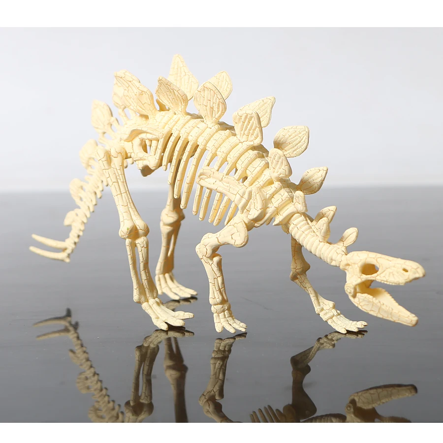 3D skeleton DIY assembly dinosaur models plastic bone toy for children,Triceratops/stegosaurus/velociraptor/mammoth for choose