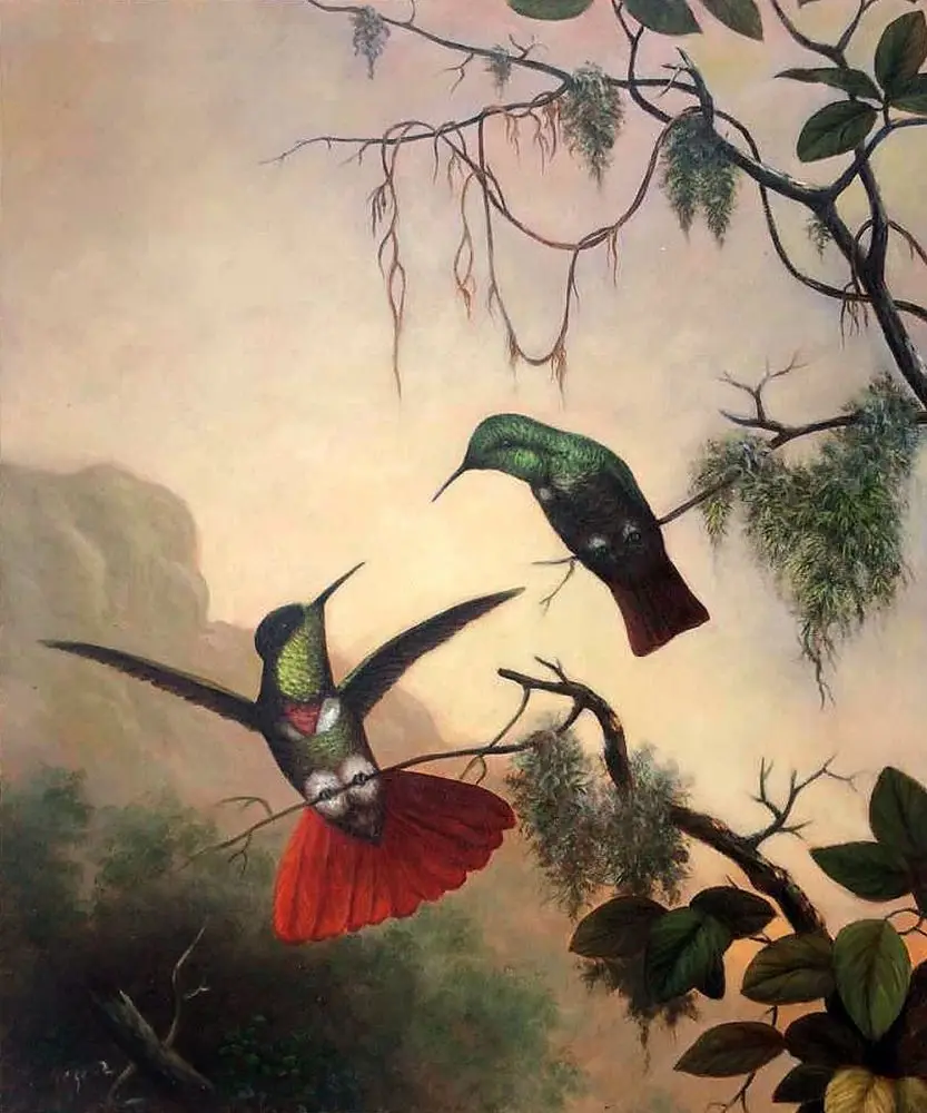 

Birds Animal Painting for Office Decorative Painting Two Hooded Visorbearer Hummingbirds by Martin Johnson Heade Wall Arts