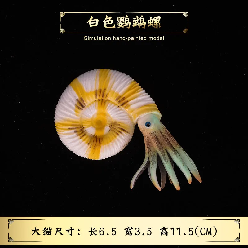 Sea Life Simulation Animal Model Nautilus Toy Action & Toy Figures Learning & Educational Gift for Kids