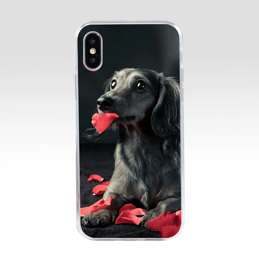 145SD Dachshund Teckel Dackel Dog gift Soft Silicone Tpu Cover phone Case for iphone 5 5s se X XR XS Max case