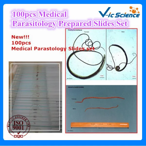 Professinal 100pcs Medical Parasitology Prepared Slides Set