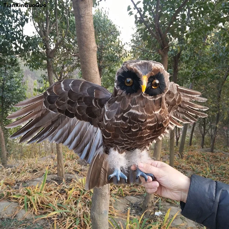 brown feathers bird large 35x55cm simulation owl bird spreading wings owl hard model,home garden decoration gift s1175