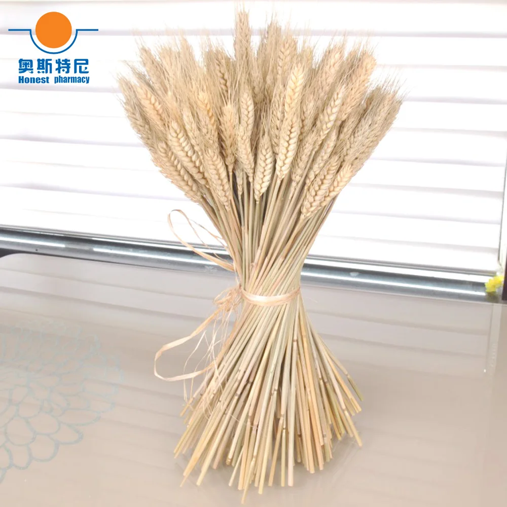 100pcs natural dried flower bouquets natural raw color dried ear of wheat bouquets&wheat ear Bunches