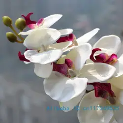 Flor de orquídea artificial com haste, borboleta e orquídea, 6 tipos, decoração para casamento, 12 cores f152.